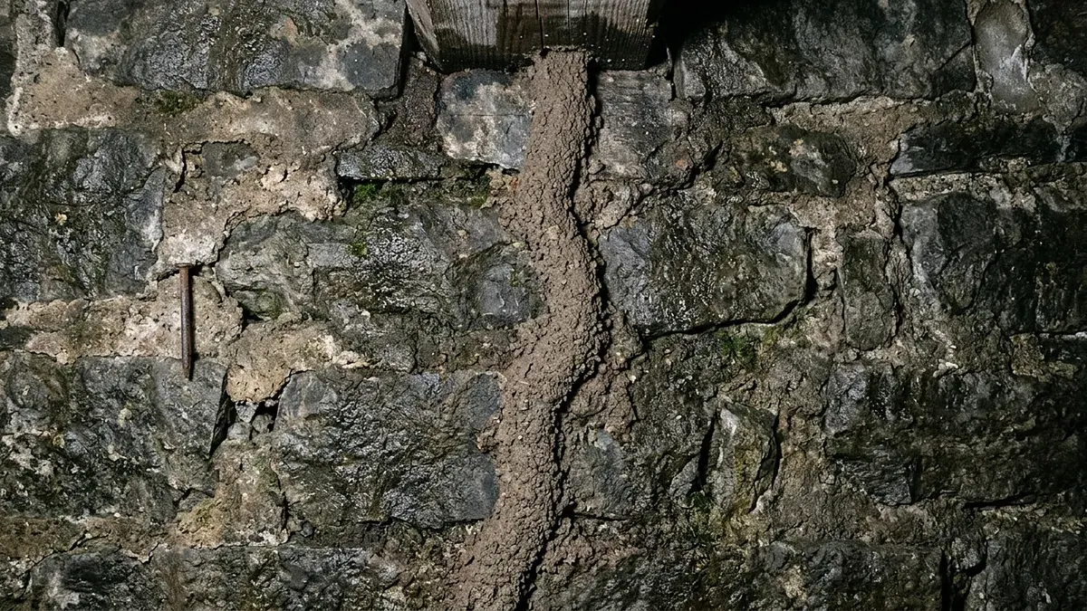 Galeries de terre de termites courant sur un mur de cave en pierre